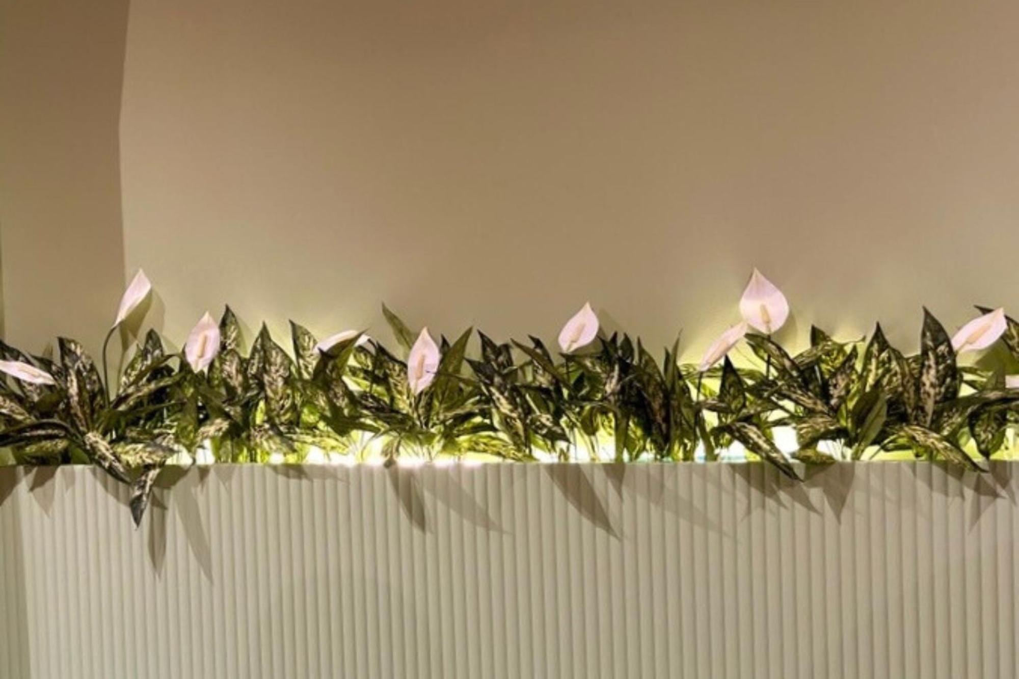 The Loft House Madrid Hostel Εξωτερικό φωτογραφία